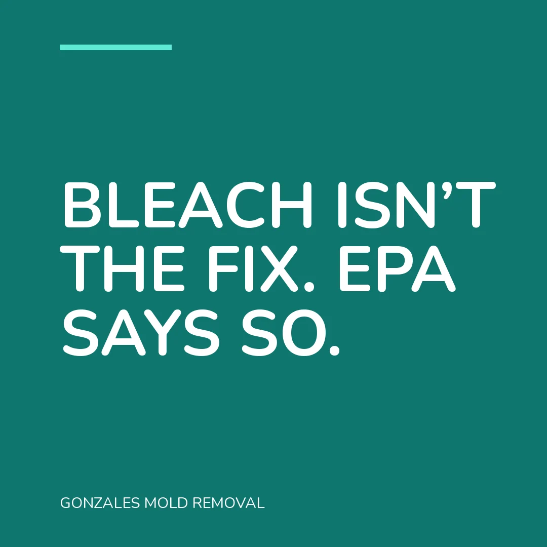 Bleach isn’t the fix. EPA says so.