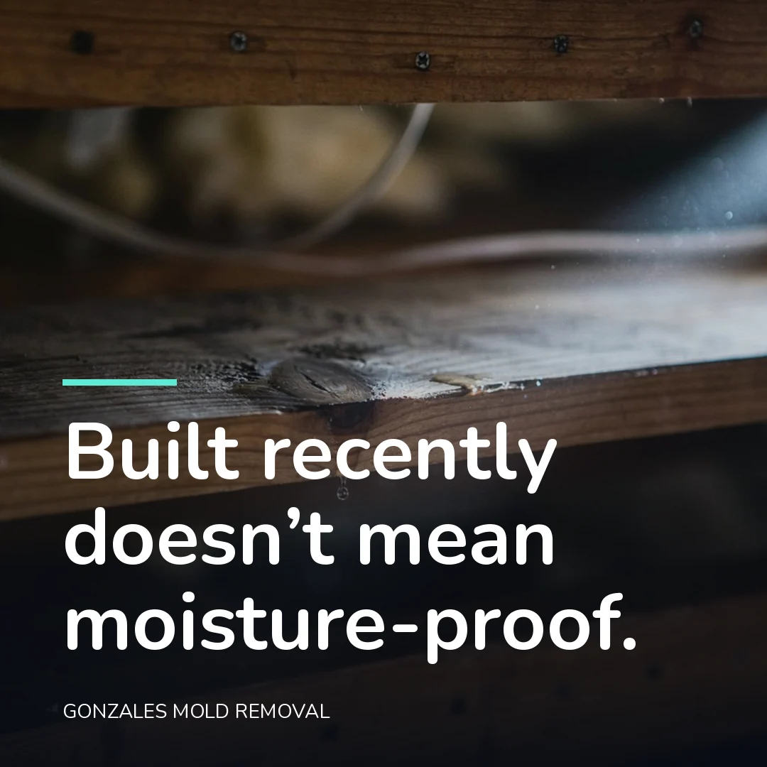 Built recently doesn’t mean moisture-proof.