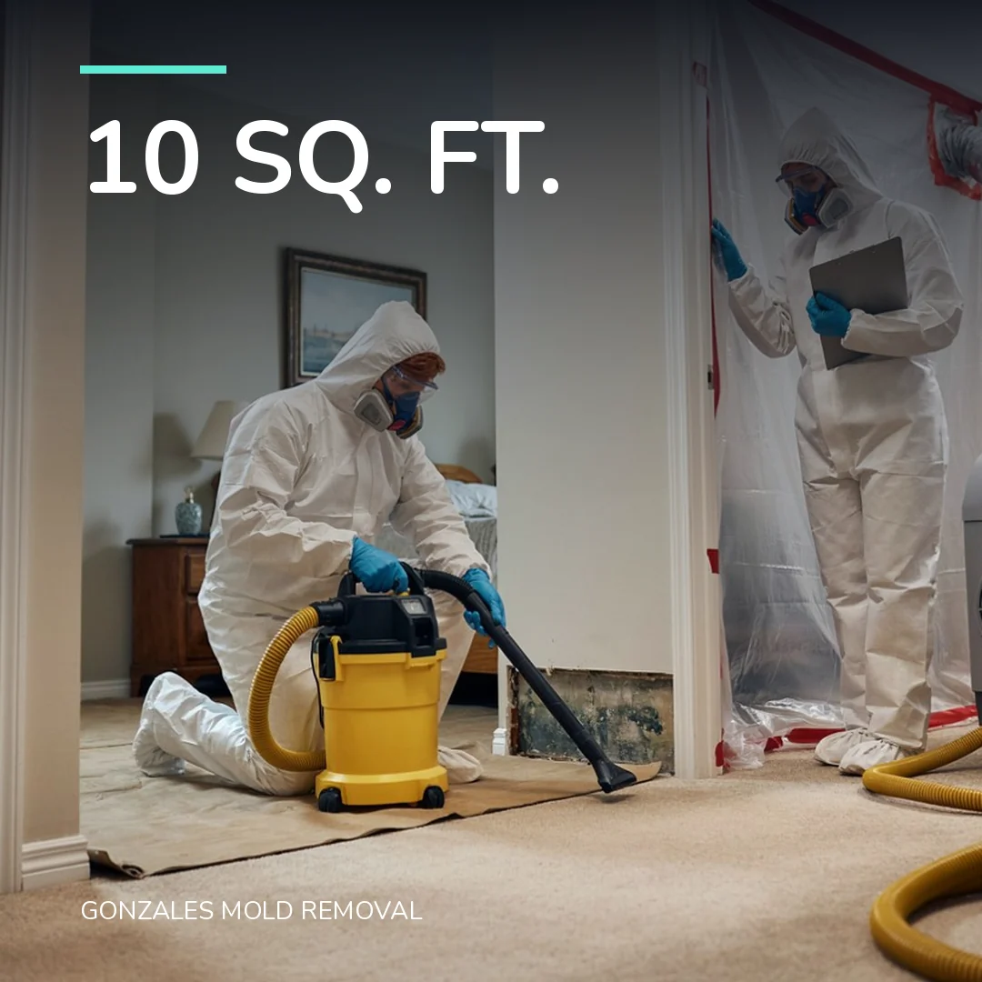 10 sq. ft.