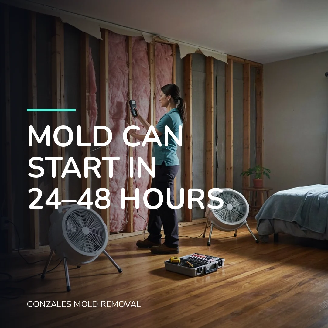 Mold can start in 24–48 hours