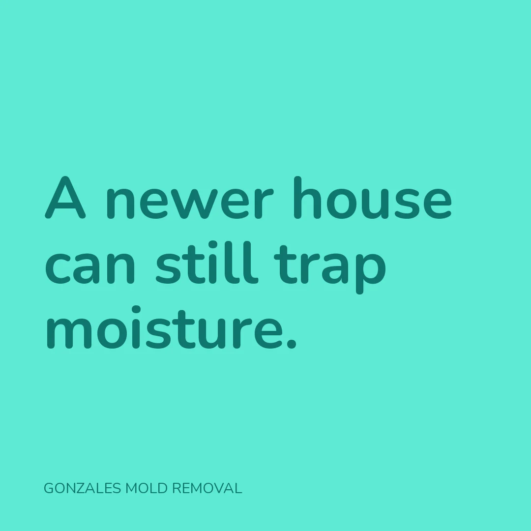 A newer house can still trap moisture.