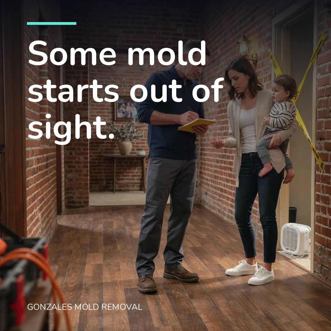 Some mold starts out of sight.